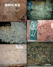 Load image into Gallery viewer, Issue 13
