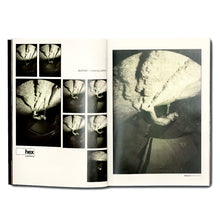 Load image into Gallery viewer, Issue 13

